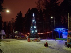    / City park in winter